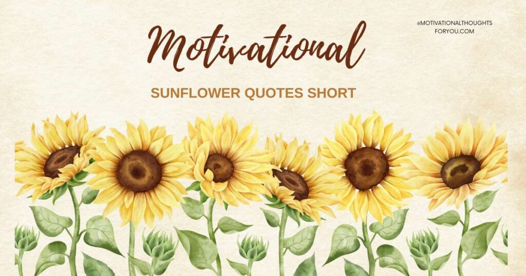 50 Motivational Sunflower Quotes Short To Keep You Going