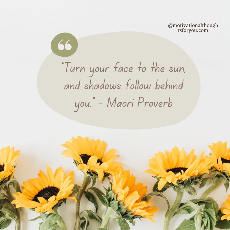 Motivational Sunflower Quotes 