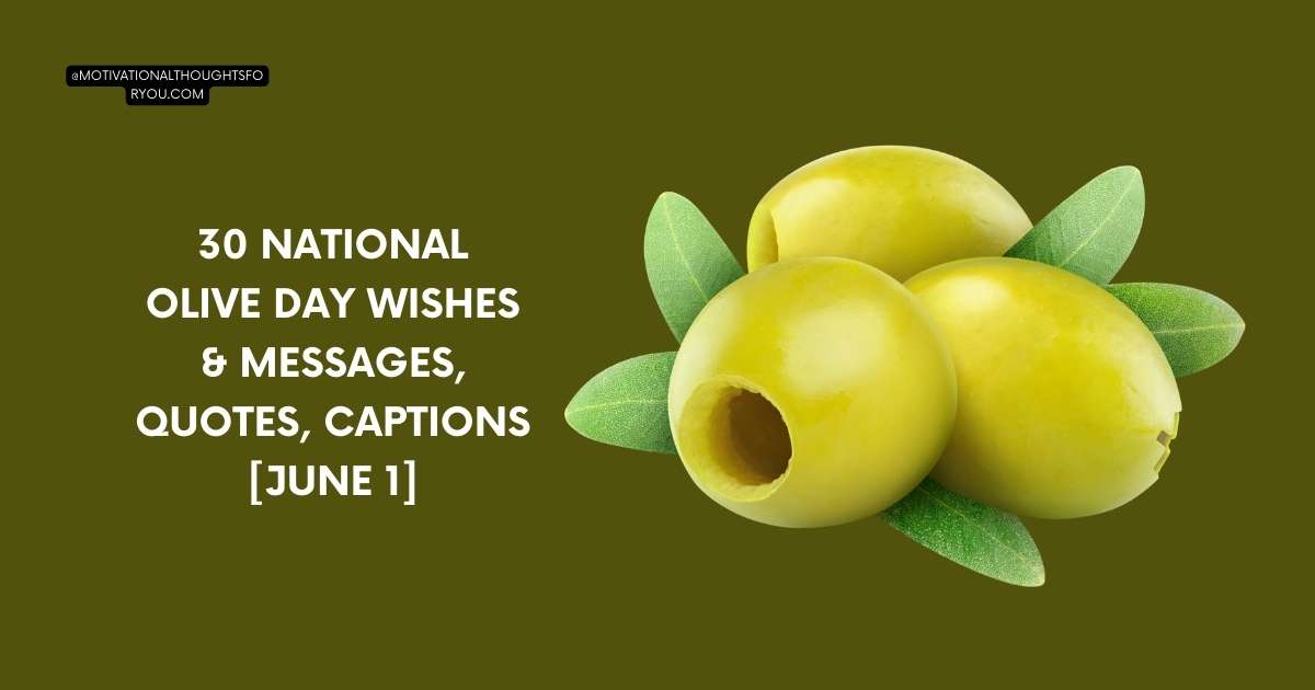 30 National Olive Day Wishes & Messages, Quotes, Captions [June 1]