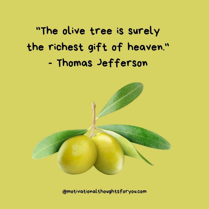 Inspirational Quotes for National Olive Day