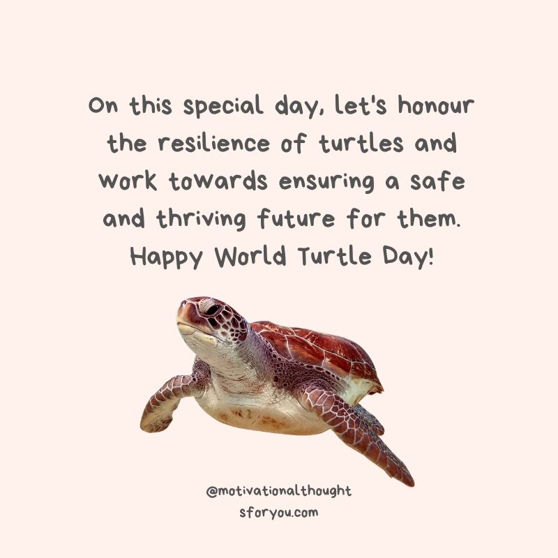 Messages for World Turtle Day