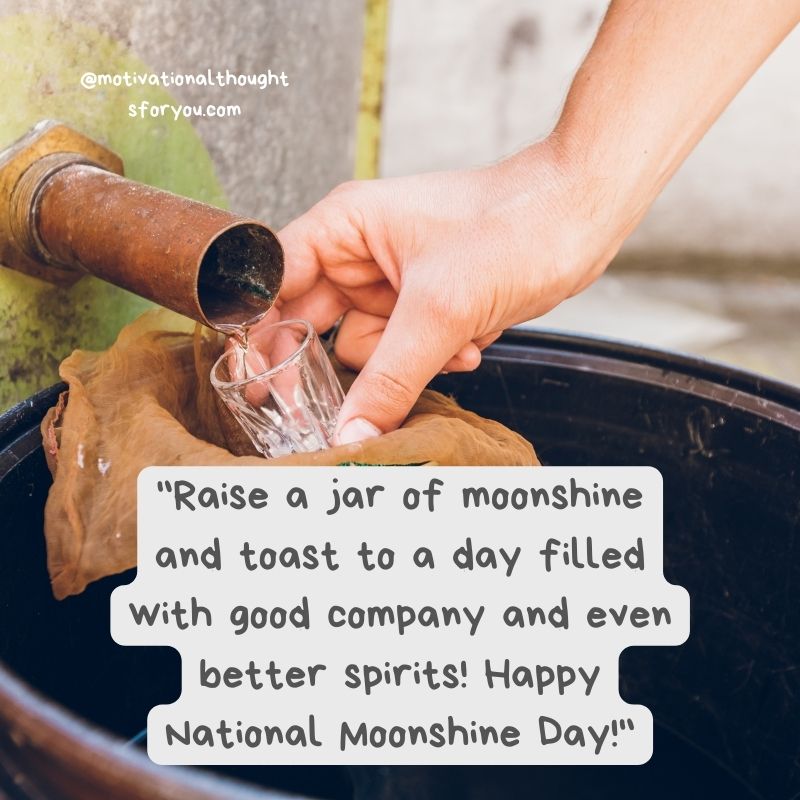 National Moonshine Day Wishes and Messages
