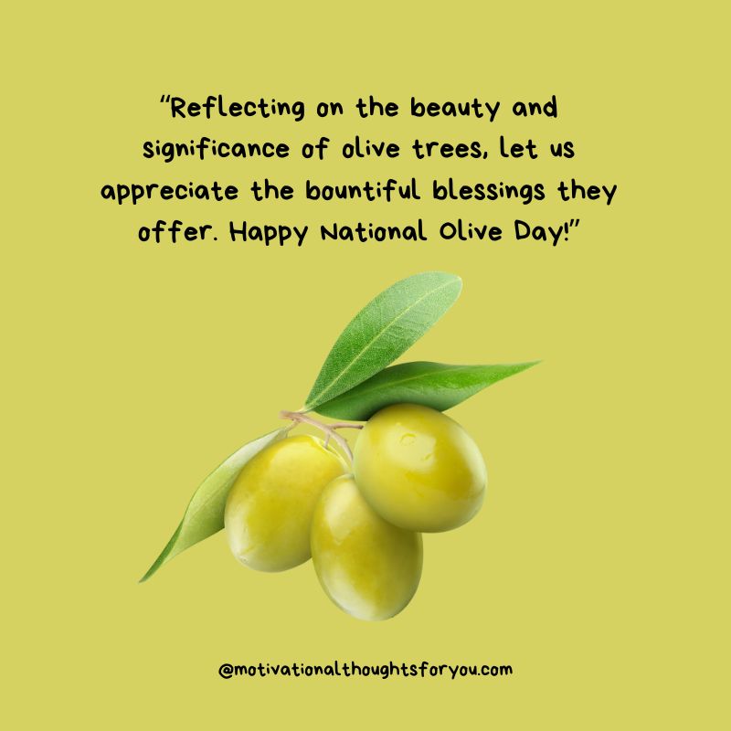 National Olive Day Wishes