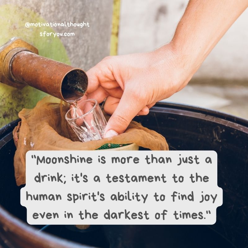 Quotes about Moonshine