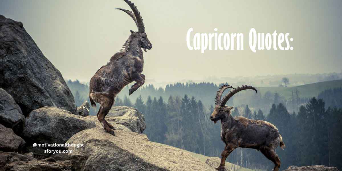 70 Capricorn Quotes: Words of Wisdom for the Sea Goat