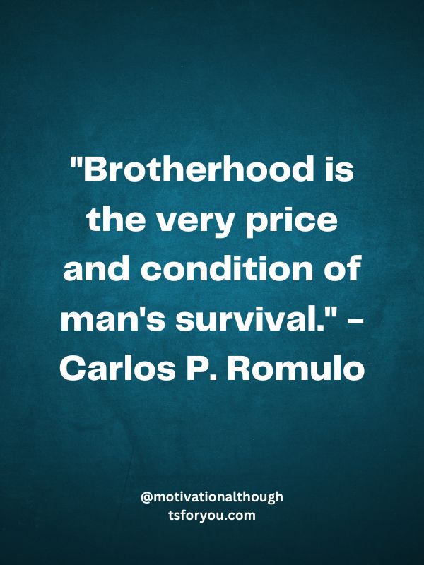 Quotes on Brotherhood