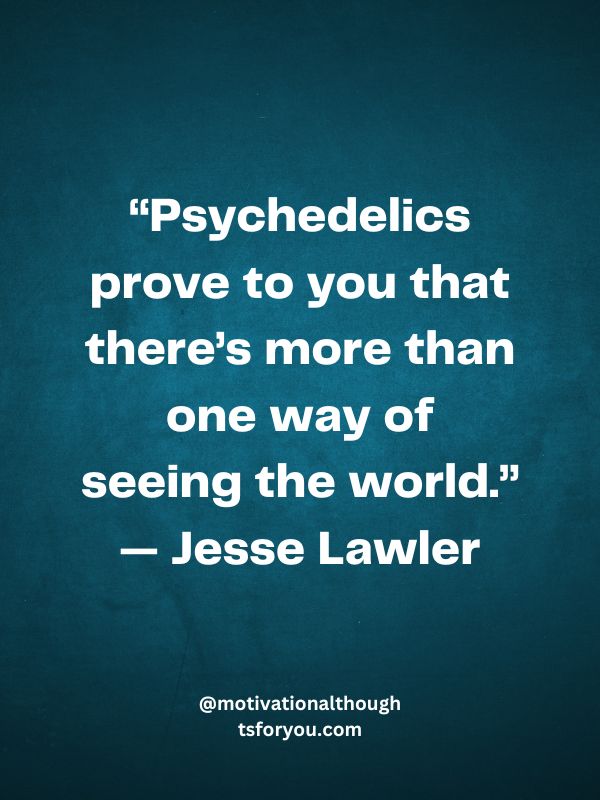 Psychedelic Quotes About the Experience