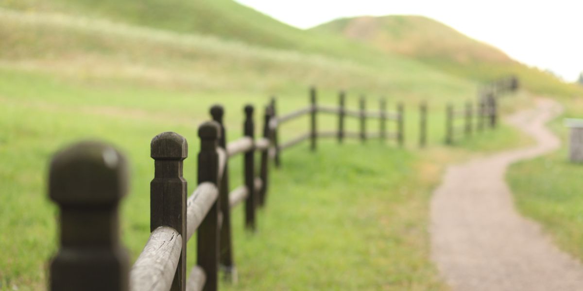 50 Quotes About Fences to Push Beyond Your Perimeter