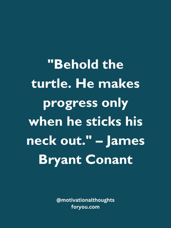 Quotes About Turtles